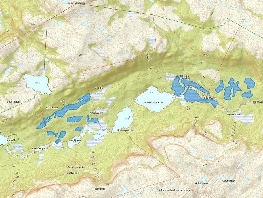 2 Feltarbeid og undersøkelsesområder Forundersøkelsene har omfattet grøfta myrer i tre naturreservater på Fosen i Sør-Tr øndelag: Hildremsvatnet i Bjugn kommune (figur 2), Høydalmoan i Åfjord kommune