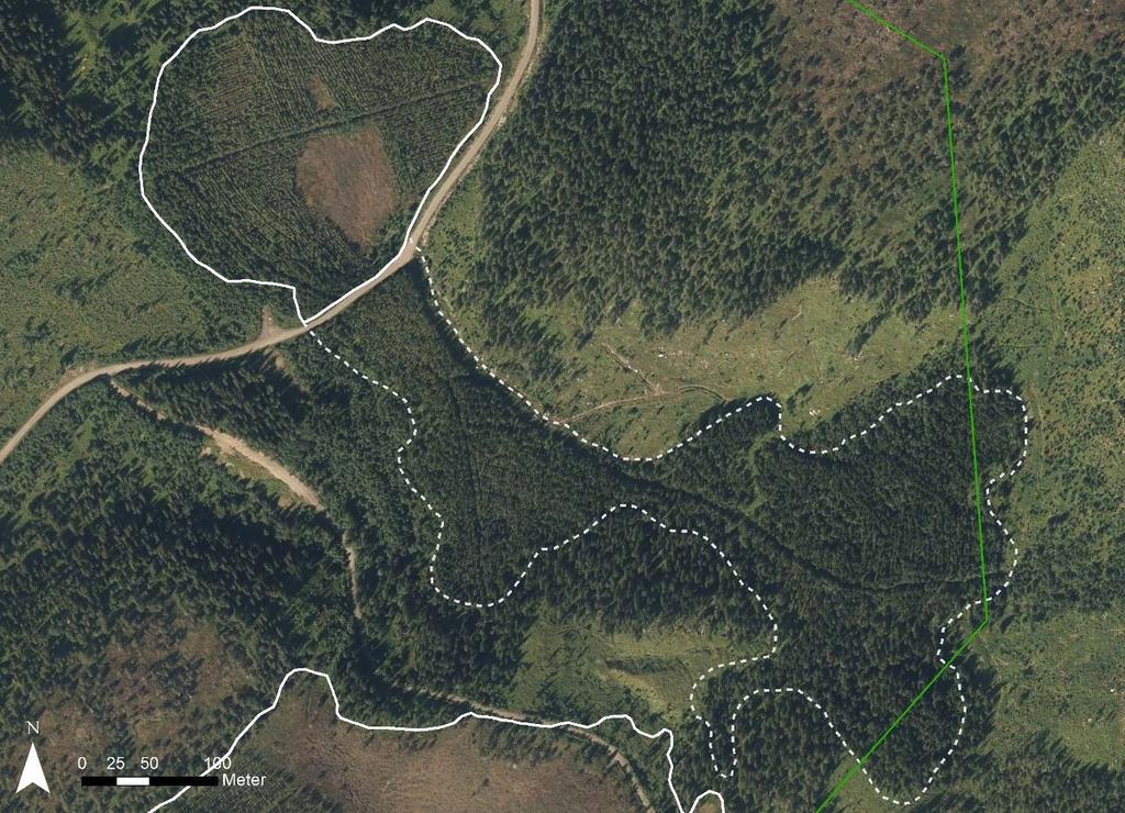 Figur 14. Myr 1 nord i Høydalmoan naturreservat er en del av et større myrkompleks (stipla linje). Grønn linje angir reservatgrensa. Ortofoto fra 2013. Kilde: Norge i bilder. 3.1.4 Myr 2 i nord Dette er et lite myrkompleks helt nord i res ervatet, og der deler av myra ligg er nord for reservatgrensa (figur 15).