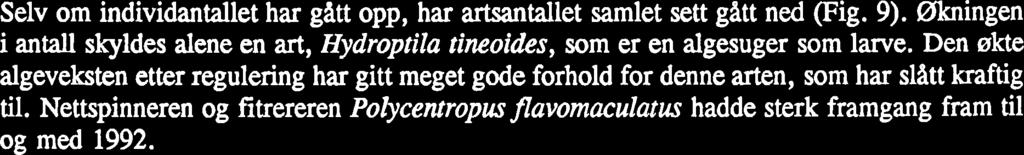 Ved stasjon 5 var disse artene nesten fraværende (hhv. 84 og 6), men til gjengjeld var det store mengder av søsterarten Amphinemura borealis og den større rovformen Isoperla tilstede her.