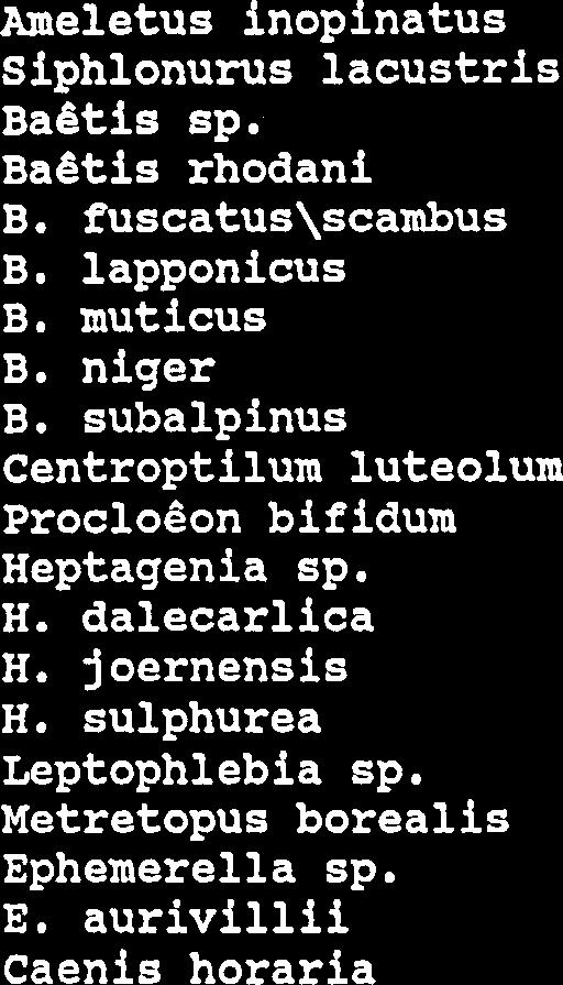 Vedlegg 3. Bunndyr registrert i Rotla 986-993 ( D0gnf luer : 986 989 990 99 992 993 Ameletus inopinatus siphlonurus lacustris Baetis sp. Baetis rhodani B.