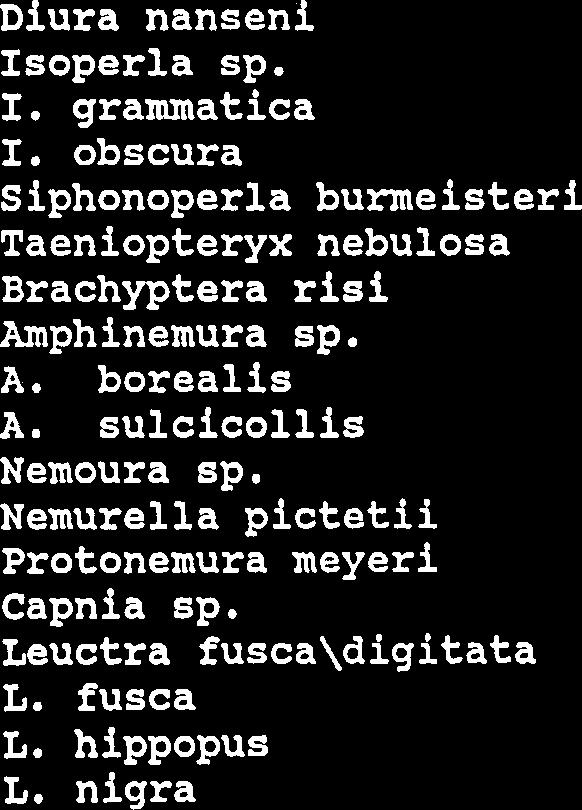 sulphurea Leptophlebia sp. Metretopus borealis Ephemerella sp. E. aurivillii Caenis horaria Diura nanseni Isoperla sp. I. grammatica I.