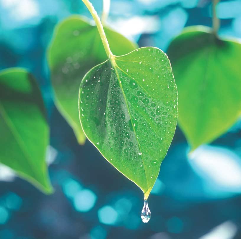 Velvære og naturvern Det er kjent at kloden i dag er overbelastet på grunn av ressursforbruk og forurensing av viktige naturområder.