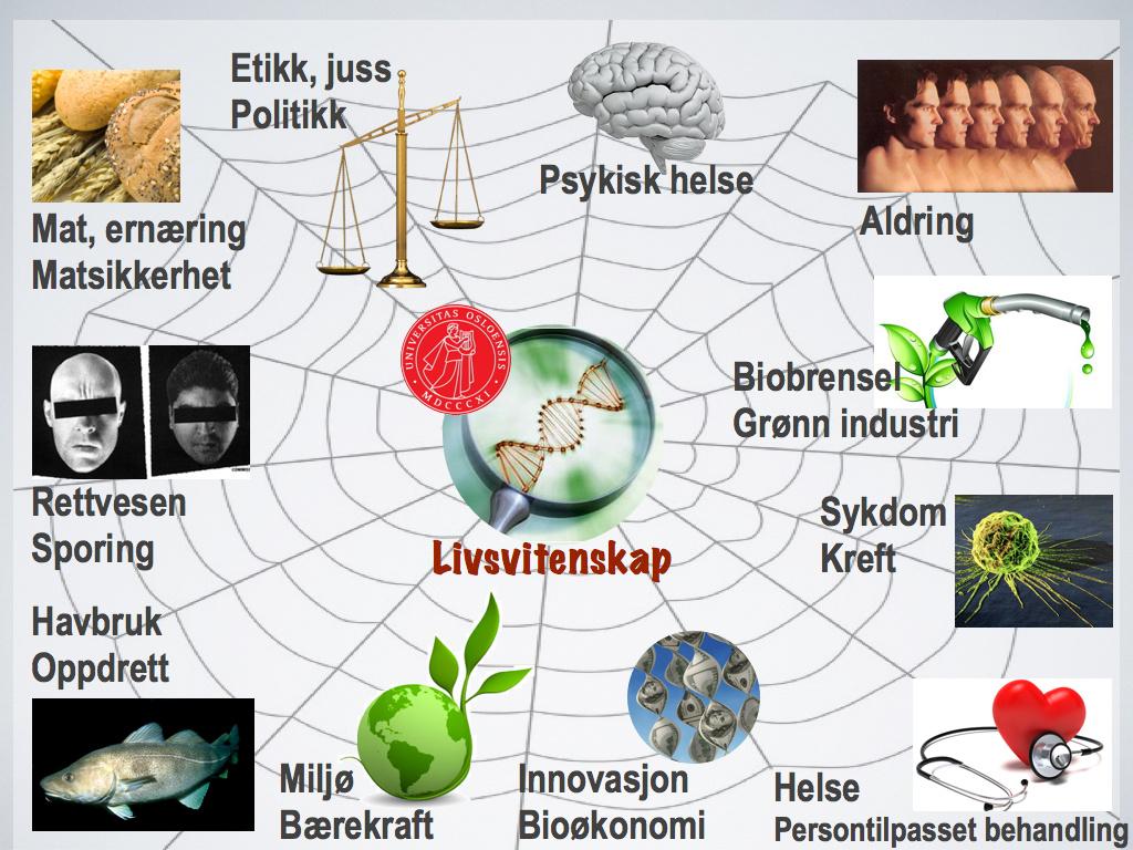 Idag er livsvitenskap en vitenskap med et enormt nedslagsfelt. DNA-analyser er blitt vanlige og tungtveiende bevis i rettsaker. Fiskeoppdrett er blant Norges viktigste inntektskilder.