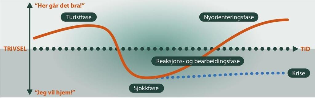 Hvordan er det å komme til et nytt land med helt ukjent kultur og språk?