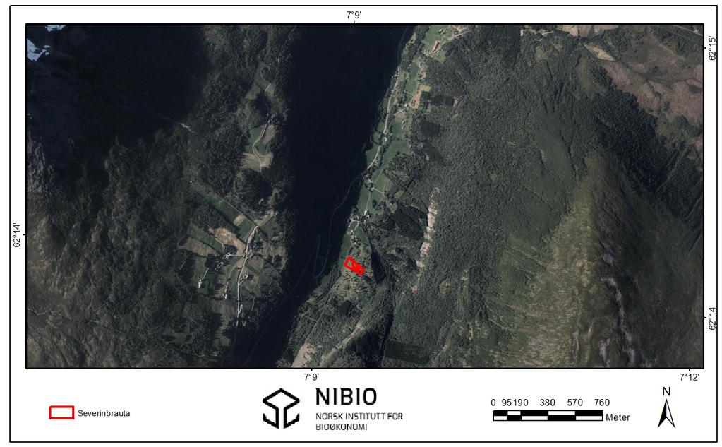 Figur 2. Oversikt over lokaliteten Severinbrauta (ortofoto).