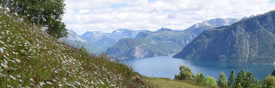 3 Fremste Kilsti br.nr. 2 Skjøtselsplan for Eidsdal: Kilsti br.nr. 2, slåttemark, Norddal kommune, Møre og Romsdal fylke Foto: P.