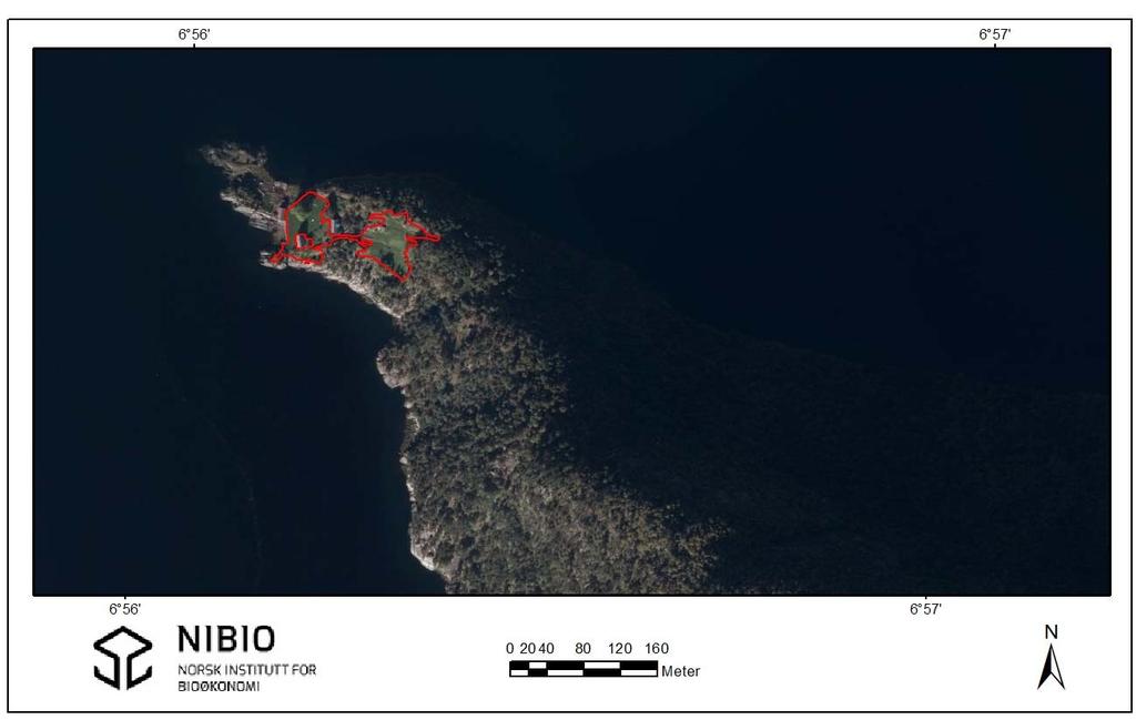 Figur 2. Oversikt over lokaliteten Stordalsholmen (ortofoto).