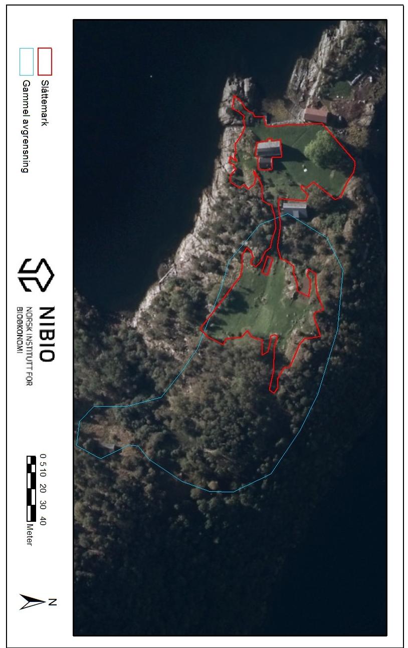 Figur 3. Oversiktsbilde for slåttemarka med arealet som inngår i skjøtselsplanen for Stordalsholmen.