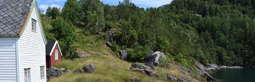 Deler av slåttemarka mellom husene og fjorden.