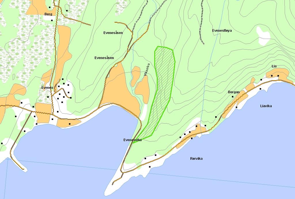 Prioritert viltområde 1 Evenesfløya Verdisetting B viktig viltområde Høyde over havet (m) 91 UTM (WGS84) 33W WR 705 951 Denne lokaliteten består av lia under bratta av Evenesfløya.