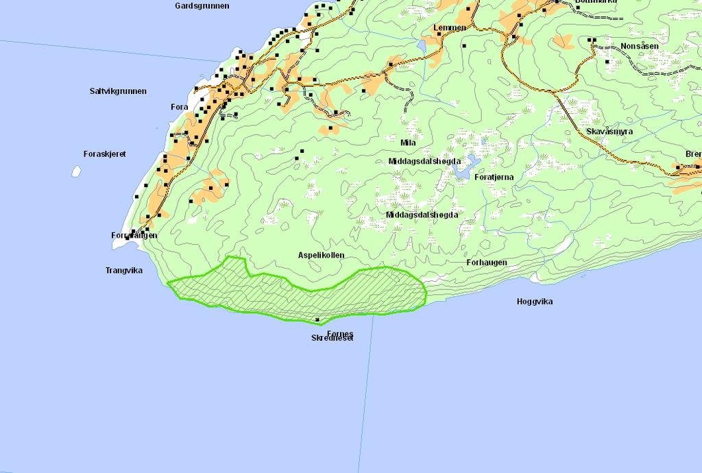 Prioritert viltområde 9 Skredneset Verdisetting B viktig viltområde Høyde over havet (m) 0-105 UTM (WGS84) 33W WS 838 947 Denne lokaliteten er ei skogli som strekker seg på begge sider av fyrløkta på