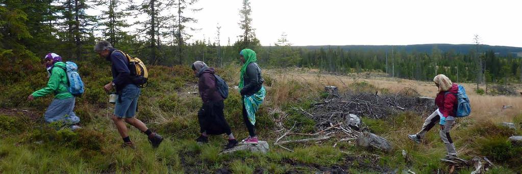 STRATEGISKE PARTNERSKAP Lærer norsk språk og kultur i naturen Voksenpedagogisk senter i Ringsaker har tatt inkludering og språklæring ut i skog og mark.