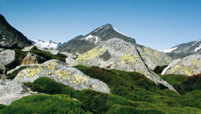 Naturforvaltning DNT ønsker å sikre naturgrunnlaget for friluftslivet i Norge for kommende generasjoner.