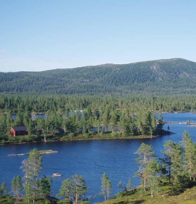 Fotskatt kr 30. Turledere Vigdis Skrove, mobil 951 80 347 og Grethe Hesselberg, mobil 959 77 914. Lett sommertur til Storknuken 505 moh., Inderøy. Lørdag 27.