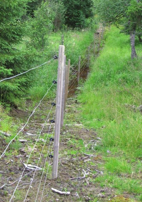 Utbedret sauegjerde. Foto: Inger Hansen. 6-tråds elektrisk strekkgjerde. Foto: Lise Aanensen. Vegetasjonskartlegging og beitetaksering besetning en til to ganger i løpet av beiteperioden.