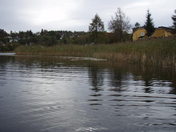 Gjellumvannet I oppdragsbeskrivelsen fra Asker kommune (ikke datert, men undertegnet av Tomas Westly) blir ikke naturtypeområdet med nr. 178 sør i Gjellumvannet nevnt.