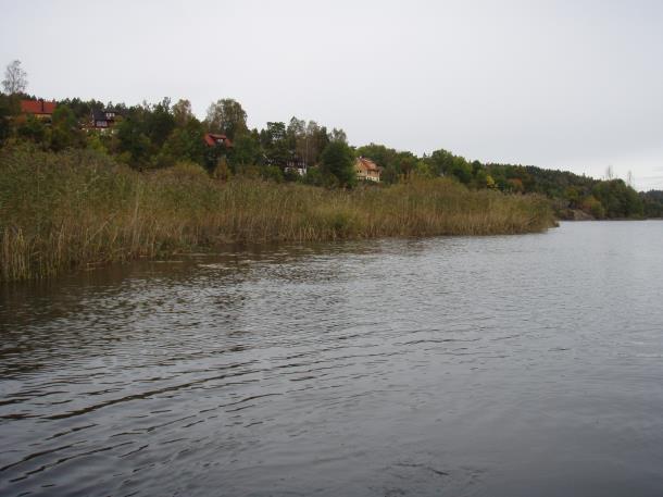 september 2007, og opprettholdes som egen naturtype, men omdefineres til naturtypen Evjer, bukter og viker, fremdeles med verdi B.