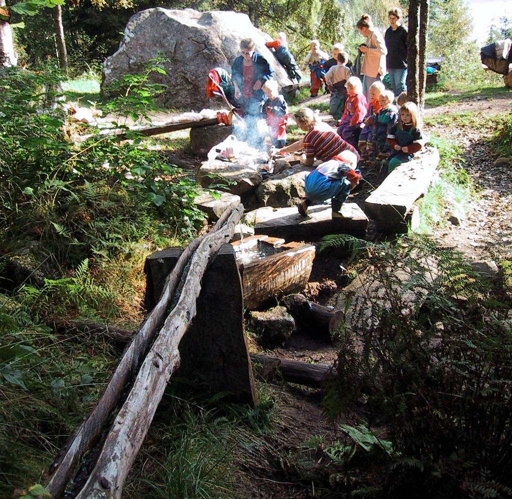 rapport frå Miljøfagleg utredning AS 23.01.2003, samt registreringar i Naturbasen til Direktoratet for naturforvaltning (DN) (Vedlegg).