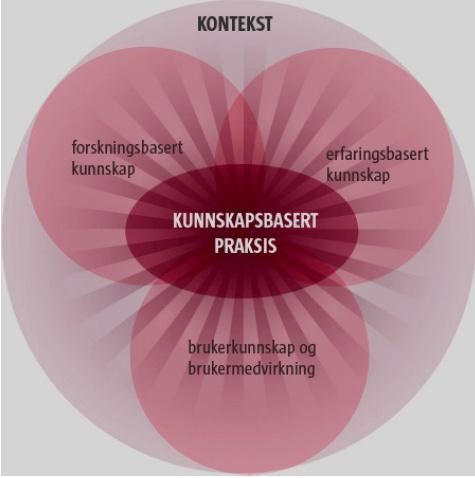 Hensikt Beskrive pårørendes tilfredshet med intensivavdelingen og å identifisere områder for