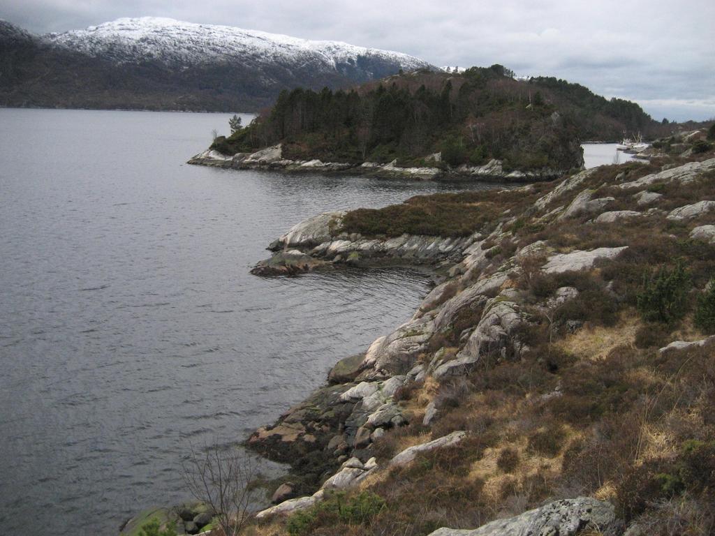 SVALE BERG/SVA I FJORDEN MOT AUST UTSYN FRÅ FLOLID AUST MOT