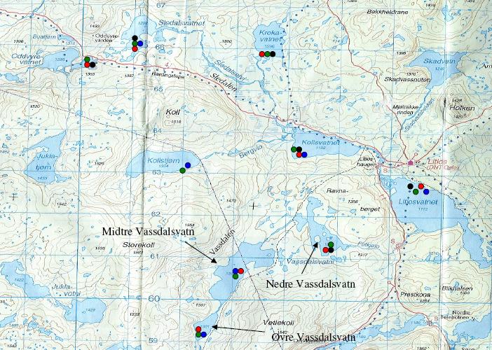 Resultater Figur 5. Oversikt over de artene av vannlopper og hoppekreps som forekom på flest lokaliteter, basert på prøvene tatt i løpet av begge prøvetakingsperiodene i juli 2006.