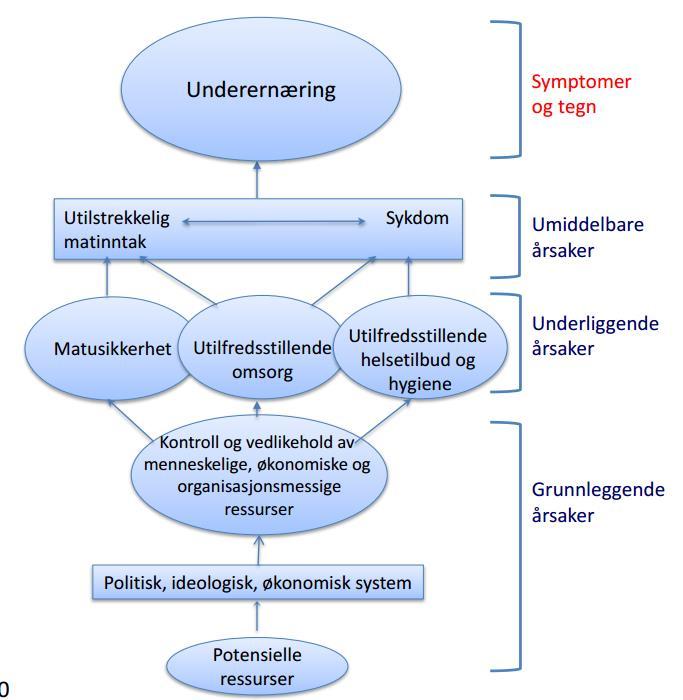 Sensorveiledning Oppgave 4 Samfunnsernæring a) Tegn UNICEF-modellen for årsaker til underernæring.