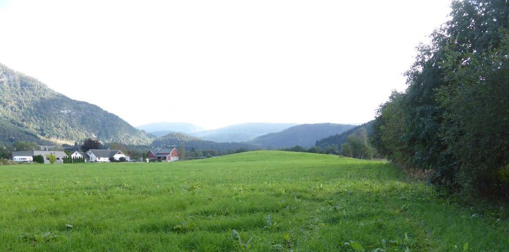 Fredinga skal sikra den opphavlege arkitekturen og parkområdet.