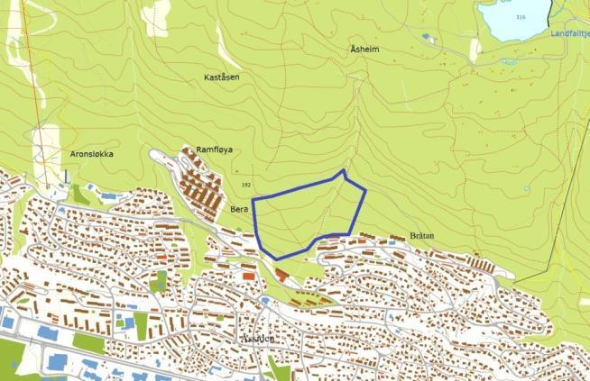 - Utfordrer landskapsbildet med elvebyen mellom de grønne åsene - Utfordrer forutsigbarheten knyttet til tydelig avgrensing mellom byggesone og marka - Tungt å kollektivbetjene - Økt