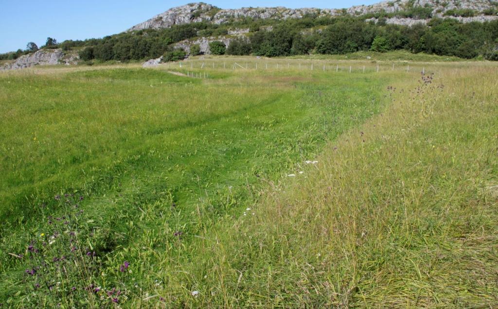 VEDLEGG 2 Bilder Figur 3. Bilde er tatt øst i slåttemarka, rett vest for åkerlappene, og kameraet er rettet i retning nord.