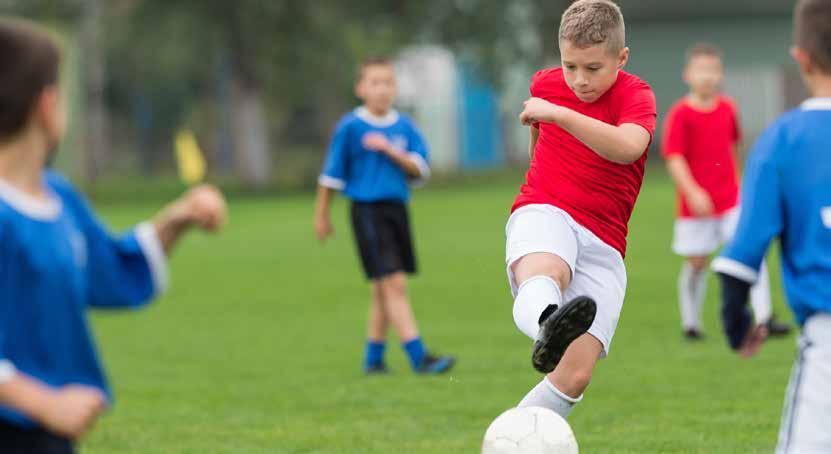 PerfectPlay Smartenhet For sportsanlegg med forskjellige baner og flere bruksområder kan vi tilby PerfectPlay smartenhet.