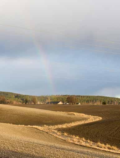 TILTAK FOR Å REDUSERE AVRENNING TIL VASSDRAG OG KYST MILJØTILSKUDD Forurensing FORKLARING AV OMRÅDER Proriterte områder, vannområder med miljøkrav PURA (Bunnefjorden med Årungen- og