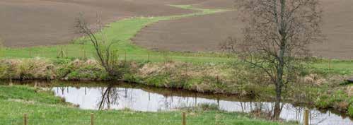 Vegetasjonssone (tidligere grasdekt buffersone) og ugjødsla randsone i eng Grasdekt vannvei isådd kløver Det gis tilskudd for striper tilsådd med gras på fulldyrket areal a) langs åpen grøft, bekk,