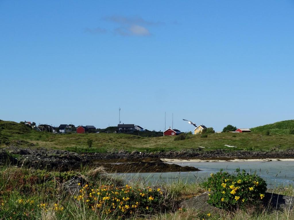 Bebyggelsen på Sørøya sett