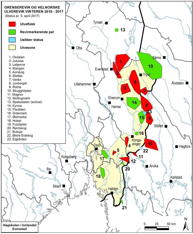 7 Hannulv avlivet ved lisensjakt i Stor-Elvdal kommune 3. november 2016. 8 Tispe avlivet ved lisensjakt i Stange kommune 7. februar 2017. 9 Tispe avlivet ved lisensjakt i Stange kommune 31.