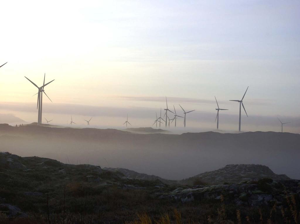 Fra vindkraftens ståsted Vindkraftens påvirkning på fugl er potensielle «show-stoppere» som bør løses for å: muliggjøre utvikling av vindkraft i nye områder unngå forsinkelse i godkjenningsprossessen