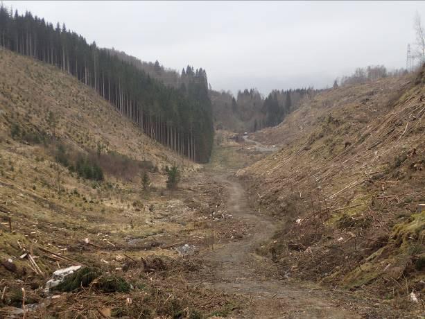 h.) Foto: Torbjørg Bjelland. I tiltaksområdet finnes det ifølge Miljødirektoratets Naturbase ingen registrerte viltforekomster eller verdifulle områder.