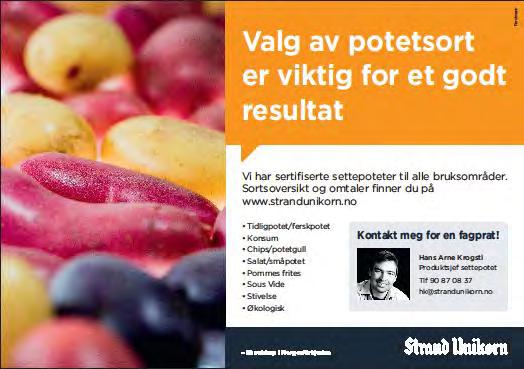 Potet reduserende sukker (fruktose og glukose) er også viktig for at innholdet av akrylamid i ferdigproduktet ikke skal bli høyt.