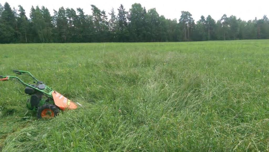 Formålet med forsøket har vært å se på effekten av isåing med forskjellige såfrø og såtider. En har prøvd med isåing av Westervoldsk raigras på våren og høstisåing etter 2. slått med Spire pluss 100.