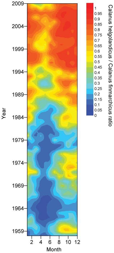 Endringer i dyreplankton i Nordsjøen: Mindre raudåte, mer av den mer varmekjære fetteren calanus