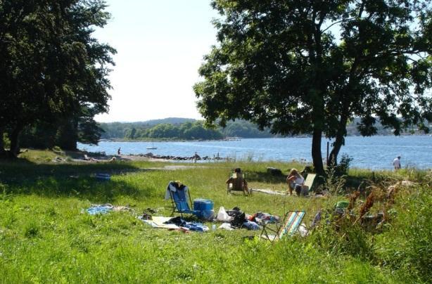 Grimstad Rydde noe mer strender vestover mot fabrikkene, kjøre på sand på strender, legge ut en