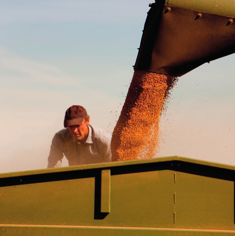 Trykk: Flisa Trykkeri AS Knowledge grows Kunnskap gir vekst GOD AGRONOMI GIR RESULTATER I KORNPRODUKSJONEN