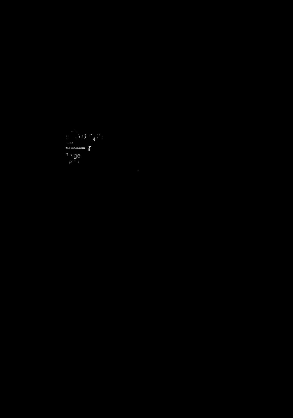 Søknad om endrng etter pan- og bygnngsoven av gtt tatese Merknader fra ByggSøk Kontro av søknaden vser at føgende sder manger obgatorsk nformasjon: Parter -Foretak Sgnerng (ttakshaver sgnere for ttak