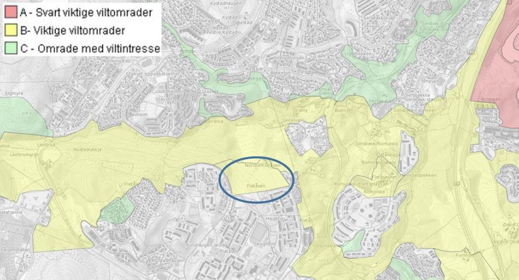 Figur 7. Utsnitt fra Trondheim kommunes viltkart. Planområdet er innenfor den blå ellipsen. 3.