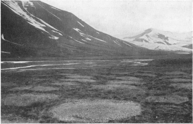 [115] 11 Flg. 6. Strukturmark l Reindalen nord for Bellsund, Spitsbergen. Man ser her sorteringssentra i forholdsvis finsteinet terrasse.