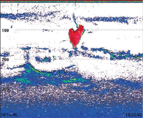 20 Meld. St. 22 2016 2017 omtales i kommende stortingsmelding om oppdateringen av forvaltningsplanen for Norskehavet.