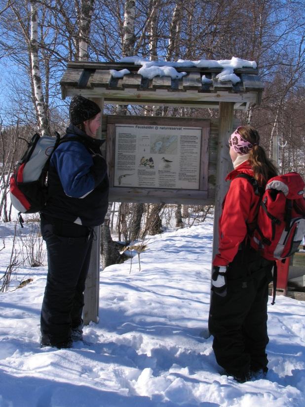 Informasjon om Fauskeidet naturreservat er tilgjengelig på nettstedet Miljøstatus i Nordland (http://nordland.miljostatus.no), som drives av Fylkesmannen i Nordland.