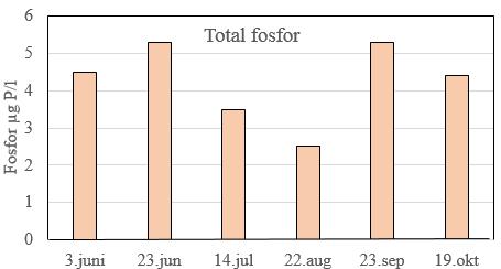 VIRKNING AV TILFØRSLER AV NÆRINGSSTOFF Vangsvatnet var i 2015 relativt næringsfattig.