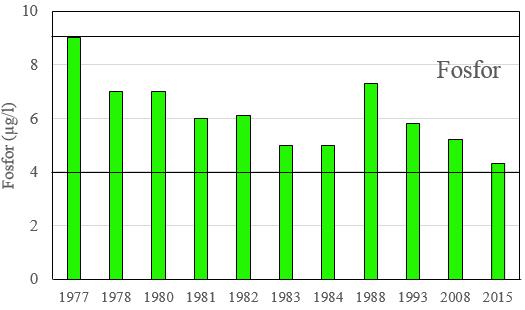 VURDERING AV UTVIKLING Tilstanden i Vangsvatnet har vært meget godt undersøkt, med bortimot årlige og omfattende undersøkelser i perioden fra 1977 til 1984 (Bakketun 1981; Bakketun