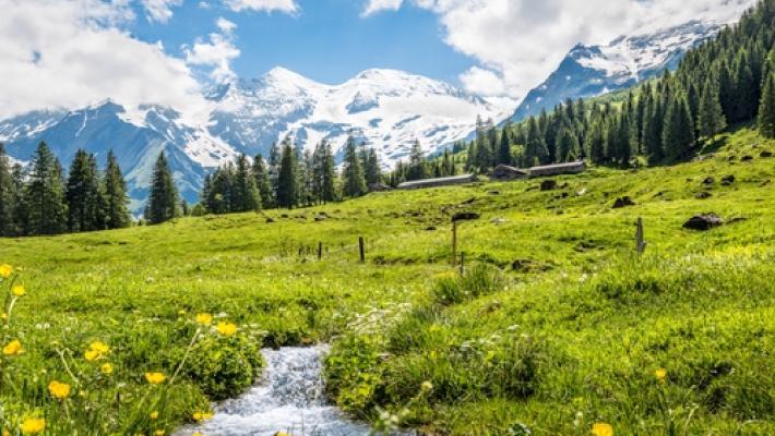 brukes som utgangspunkt for utflukter til isbreen Pasterze samt for de som skal bestige Großglockner, som med sine 3.723 meter er det høyeste fjellet i Østerrike. Hohe Tauern Nationalpark Kärnten (0.