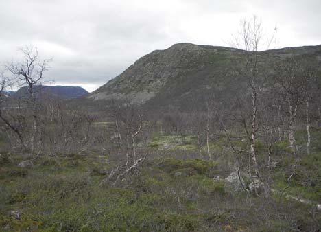 Skyttarfossen (høyre). Foto 18. og 20.07.2008. Figur 11.